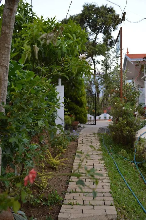 The Shade Apartment Munnar India
